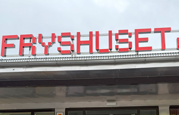 Fadderprogrammet med Fryshuset fortsätter