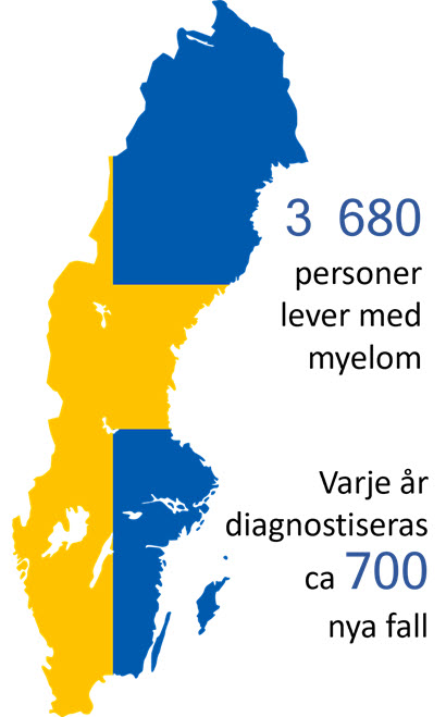 Siluett av Sverige i gult och blått med statistikuppgifter beträffande myelom.